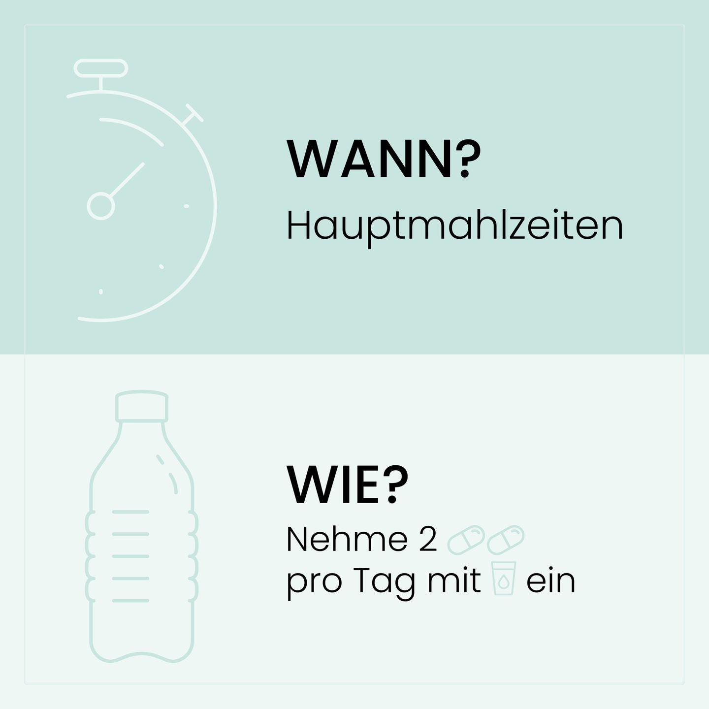 Grafische Darstellung der Einnahmehinweise für SanaExpert Arthro Forte, hervorhebend, dass zwei Kapseln täglich zu den Hauptmahlzeiten mit Wasser einzunehmen sind, auf helltürkisem Hintergrund.