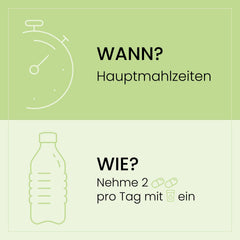 Grafik mit Anweisungen zur Einnahme von SanaExpert Supplements, betont die Einnahme von zwei Kapseln zu den Hauptmahlzeiten.