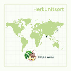 Weltkarte in grünem Farbton mit hervorgehobenen Standortmarkierungen und einem Bild der Konjak-Wurzel, veranschaulicht globale Herkunftsorte von Inhaltsstoffen.