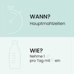 Grafik mit Einnahmehinweisen für Gastro Forte, zeigt eine Uhr und eine Wasserflasche und empfiehlt eine Kapsel täglich zu den Hauptmahlzeiten.
