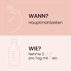 Grafische Darstellung der Einnahmeempfehlung, zwei Kapseln zur Hauptmahlzeit mit einem Glas Wasser einzunehmen, symbolisiert durch eine Uhr, eine Flasche und zwei Pillen.