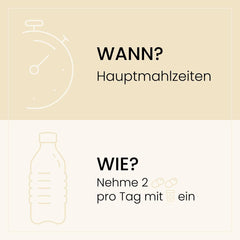 Grafische Darstellung der empfohlenen Einnahme von SanaExpert Osteo Forte: Zwei Kapseln täglich zu den Hauptmahlzeiten mit Wasser.