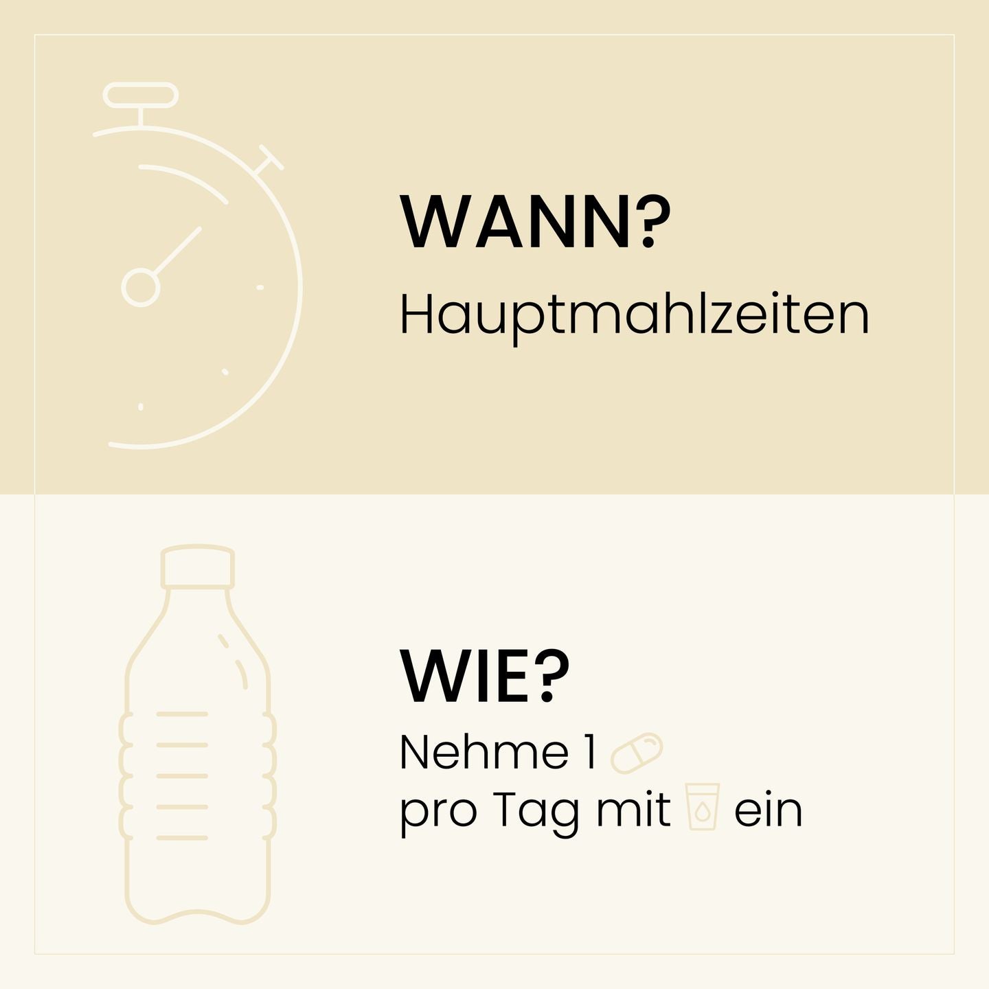 Schlichtes, informatives Design, das die Einnahmeempfehlungen für SanaExpert Vision Plus anzeigt: 