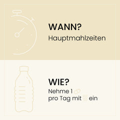 Schlichtes, informatives Design, das die Einnahmeempfehlungen für SanaExpert Vision Plus anzeigt: 